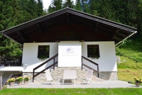Dahoam by Sarina - Das Almchalet Viehhofen